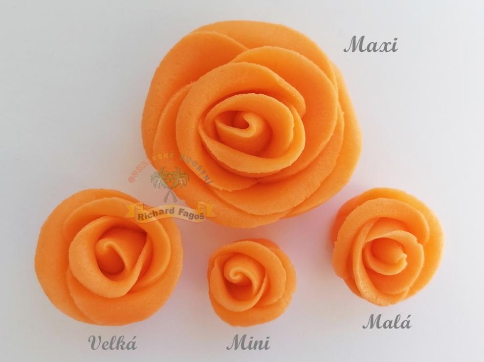 Dortová růže Mini - oranžová