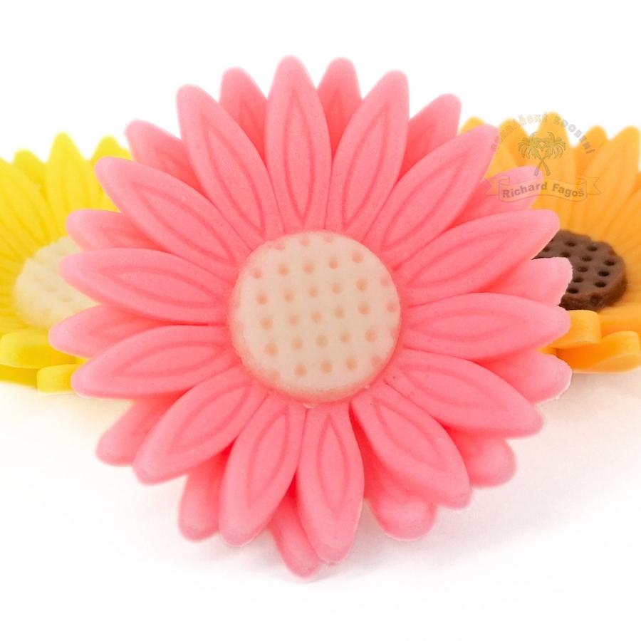 Modelované květy gerbera růžová s bílým středem