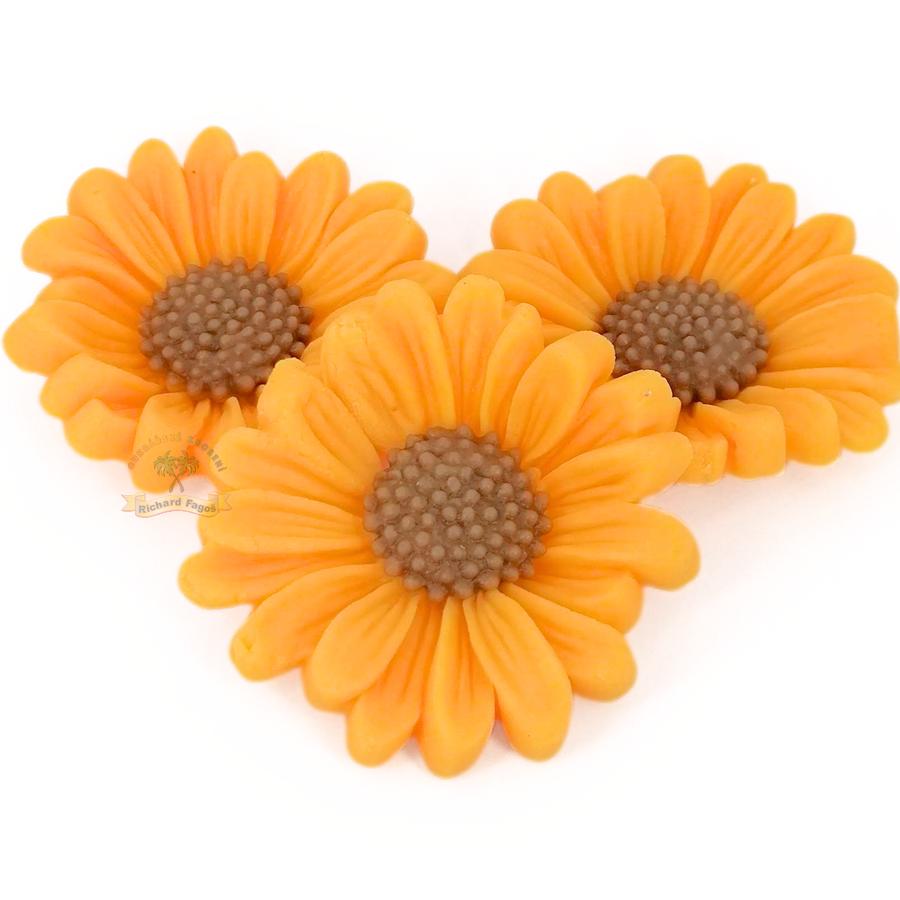 Modelované květy gerbera slunečnice nová