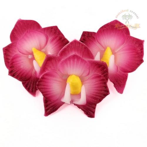Orchidej s červeným okrajem 10g