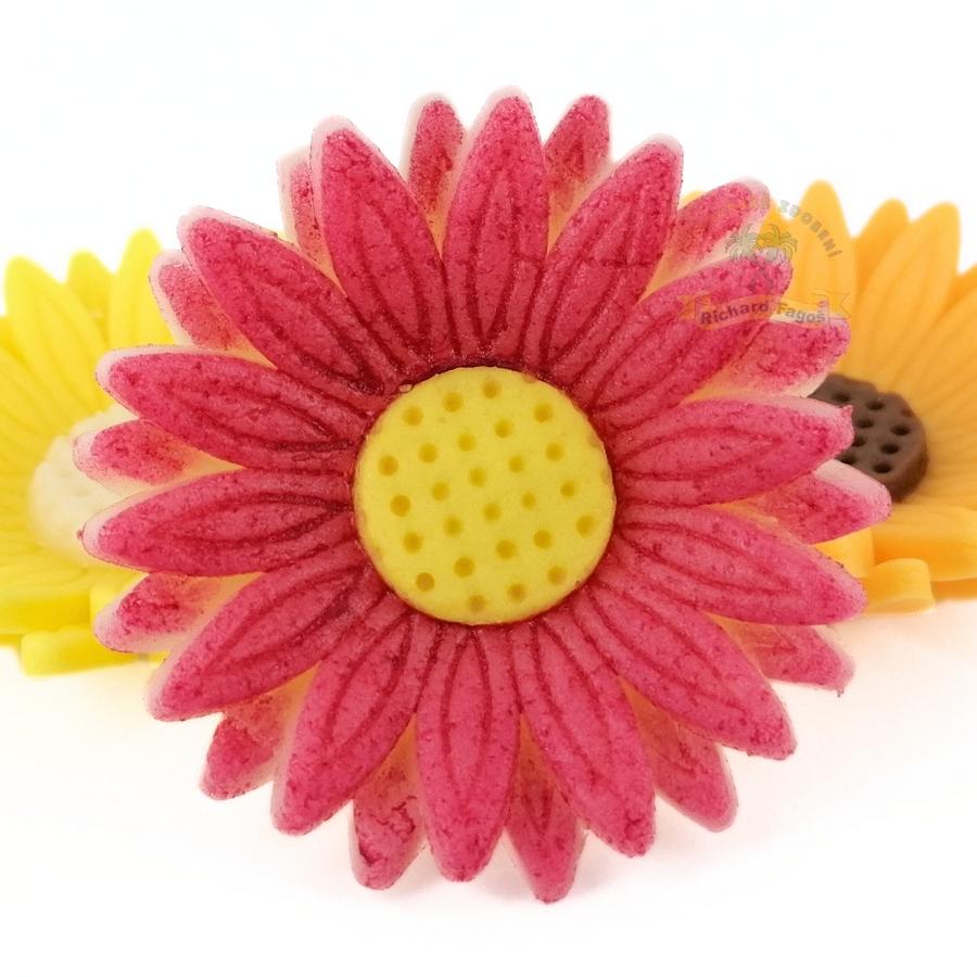 Modelované květy gerbera růžová stříkaná se žlutým středem