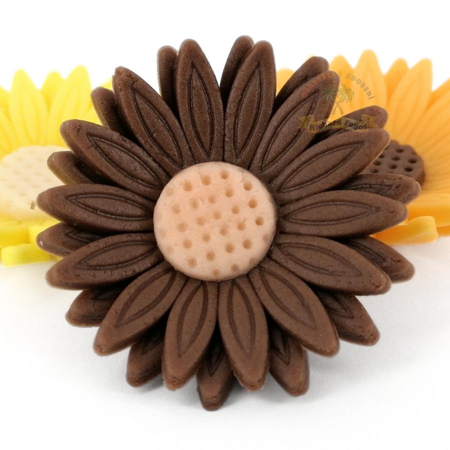 Modelované květy gerbera hnědá s tělovým středem