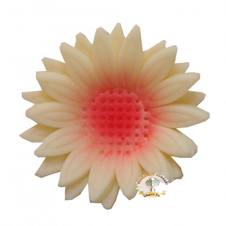Modelované květy gerbera s červeným stříkaným středem