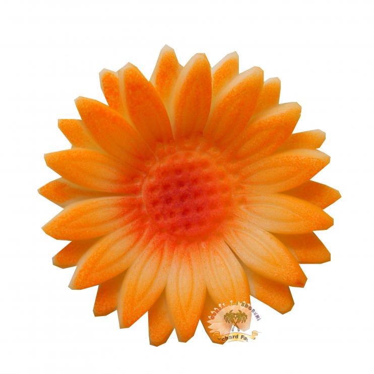 Modelované květy gerbera oranžová stříkaná