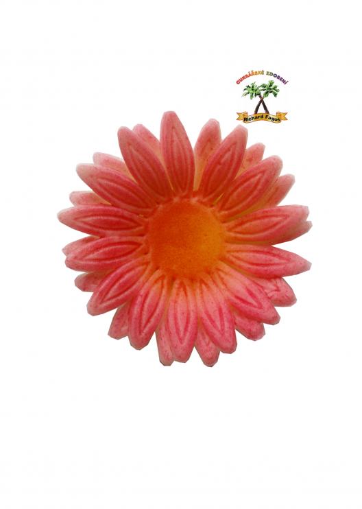 Modelované květy gerbera růžová stříkaná