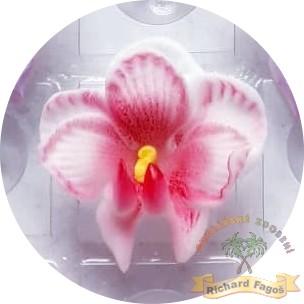 Orchidej červený střed 10g