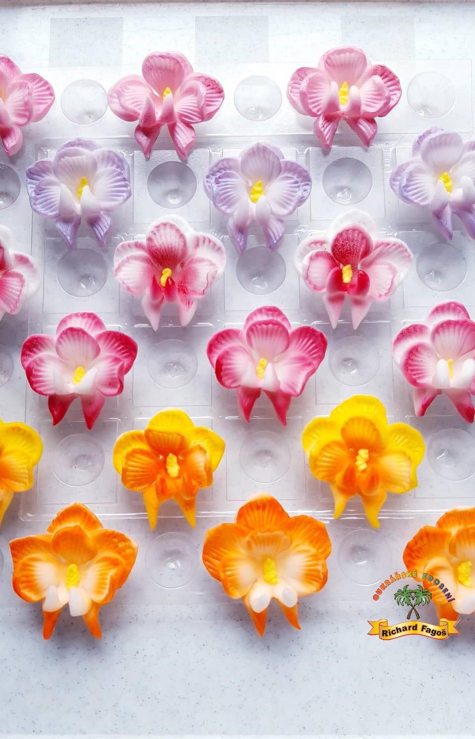 Orchidej červený střed 10g