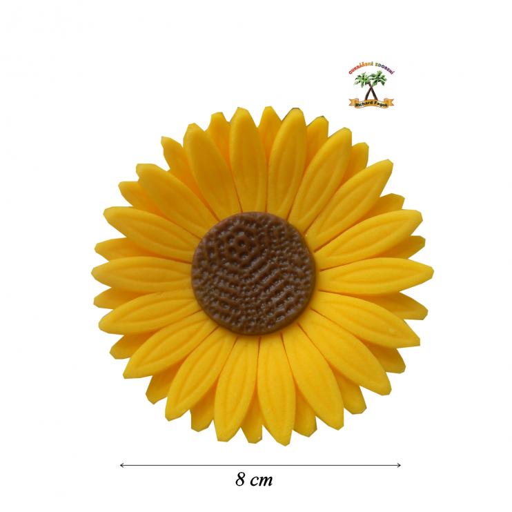 Slunečnice Velká 40g